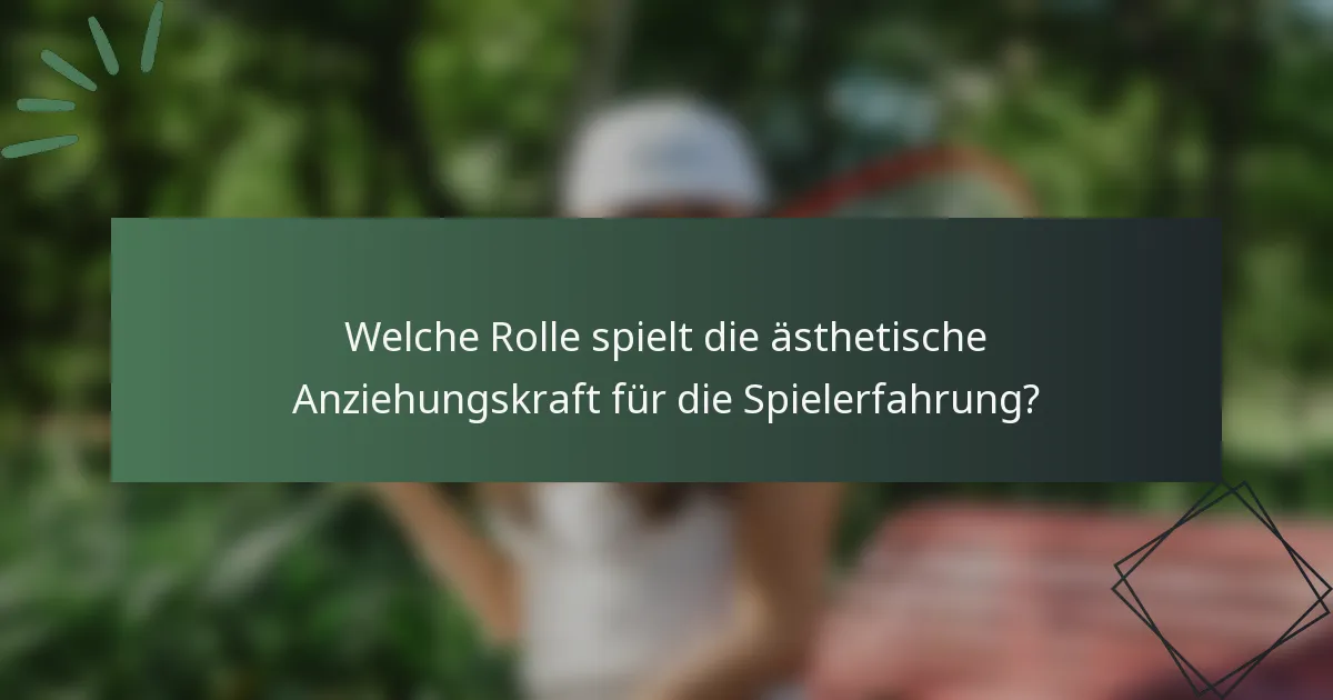 Welche Rolle spielt die ästhetische Anziehungskraft für die Spielerfahrung?